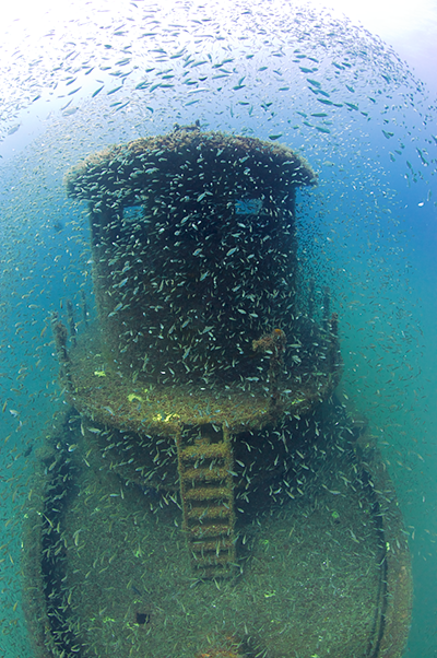 TITANV01