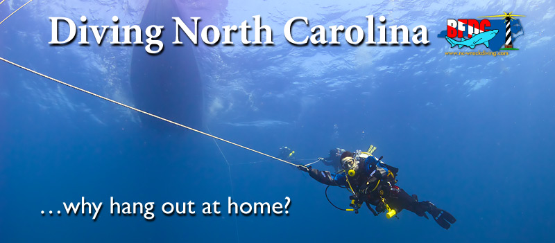 BFDC Diving Schedule 2020
